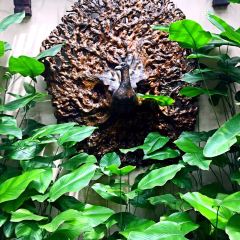 The Pomelo - The Banjaran Hotsprings Retreat User Photo