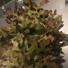 Alinea 여행 사진