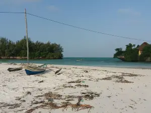 Kambakocho bar & beach Restaurant