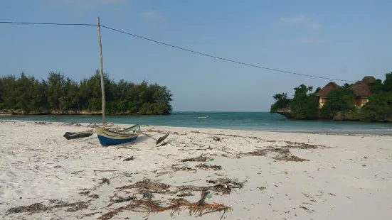 Kambakocho Bar & Beach Restaurant