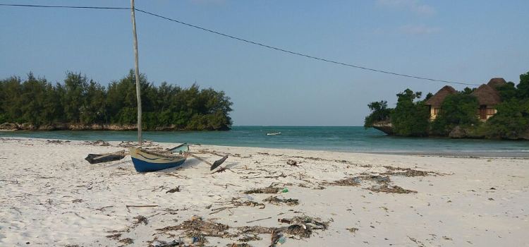 Kambakocho Bar & Beach Restaurant