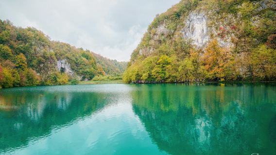 Kozjak