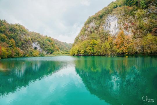 Kozjak