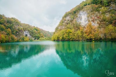 Kozjak