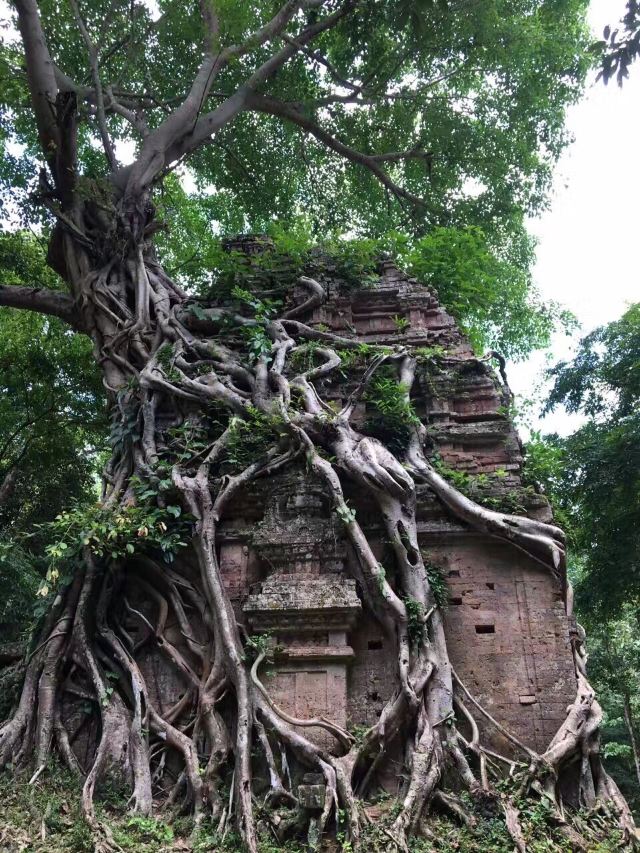 三波坡雷古寺