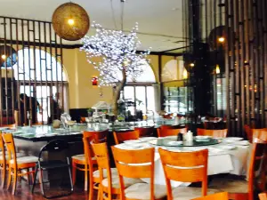 The Potsticker - Caulfield North