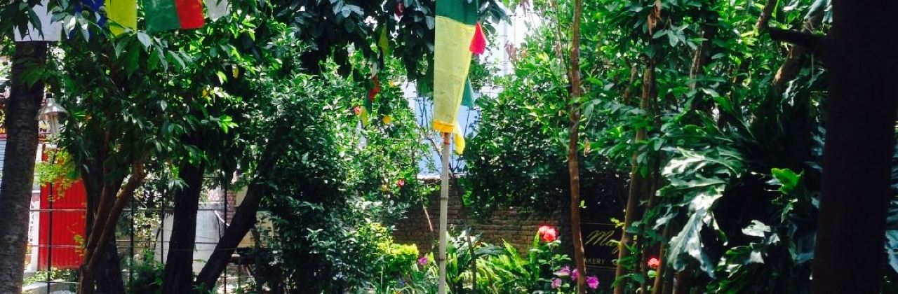 Maya Bakery Restaurant