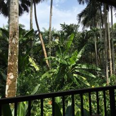 The Halia at Singapore Botanic Gardens User Photo