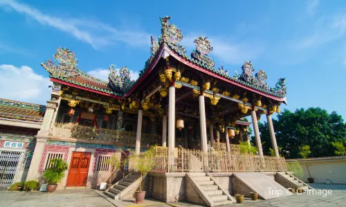 龍山堂邱公司
