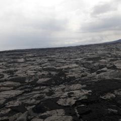 Island Lava Java User Photo