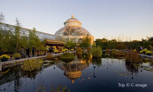 New York Botanical Garden