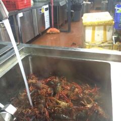 JIU RU XIANG User Photo