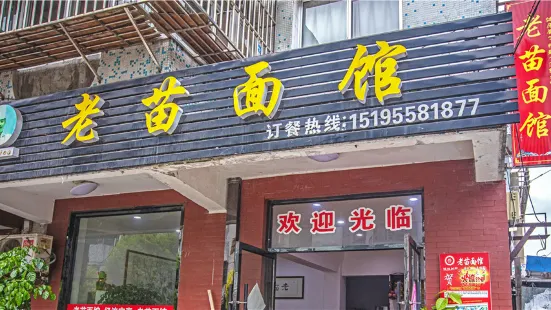 老苗面馆(兴城东路店)