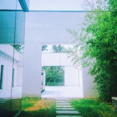 Zhongxintaifuzhujiajiaojinjiangjiudian·pinmingge User Photo