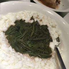 Song helou User Photo