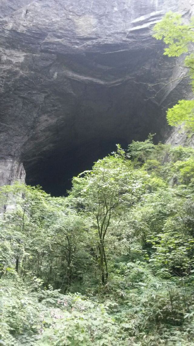 핑바잉위안 생태 레저 관광단지