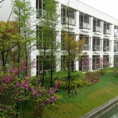 Zhongxintaifuzhujiajiaojinjiangjiudian·pinmingge User Photo