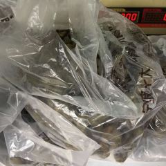 AUNTEL WANG WEN CHANG YOU ZAN ZI User Photo