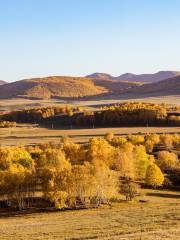 Yangshubei Grassland