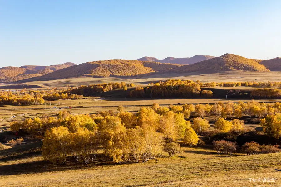 Yangshubei Grassland