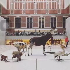 Rijksmuseum User Photo