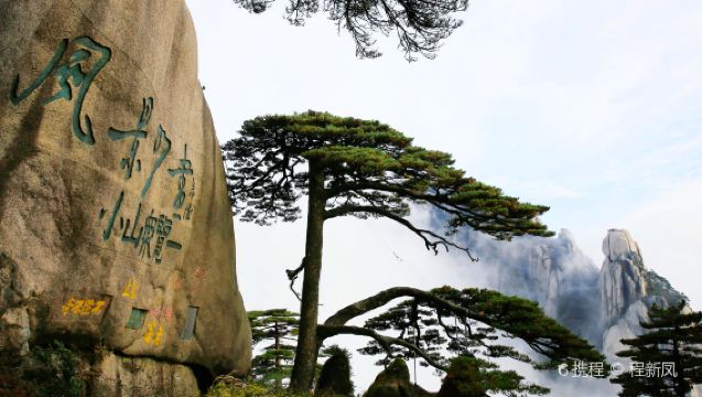 黃山風景區包車一日遊【屯溪起止.黃山北站可接駁.上門接駁】