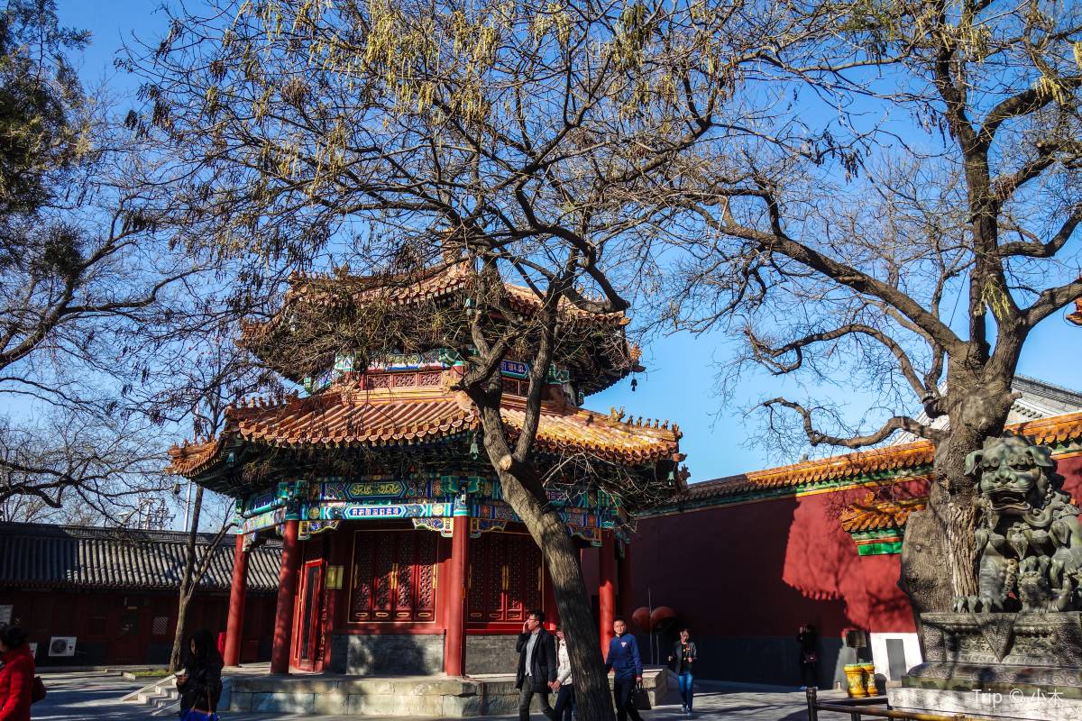 雍和宮の主な見どころ