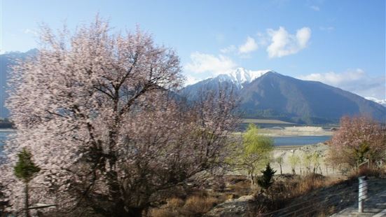 桃花村不算大，路邊圍起半座山坡，好象是10元門票，當然你不上