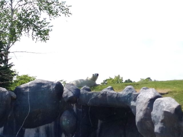 Toronto Zoo