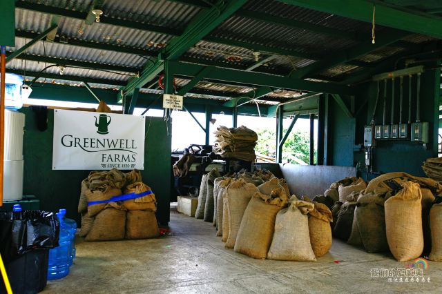 Greenwell Coffee Farm