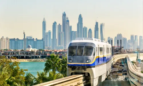 รถไฟรางเดี่ยว หมู่เกาะต้นปาล์ม