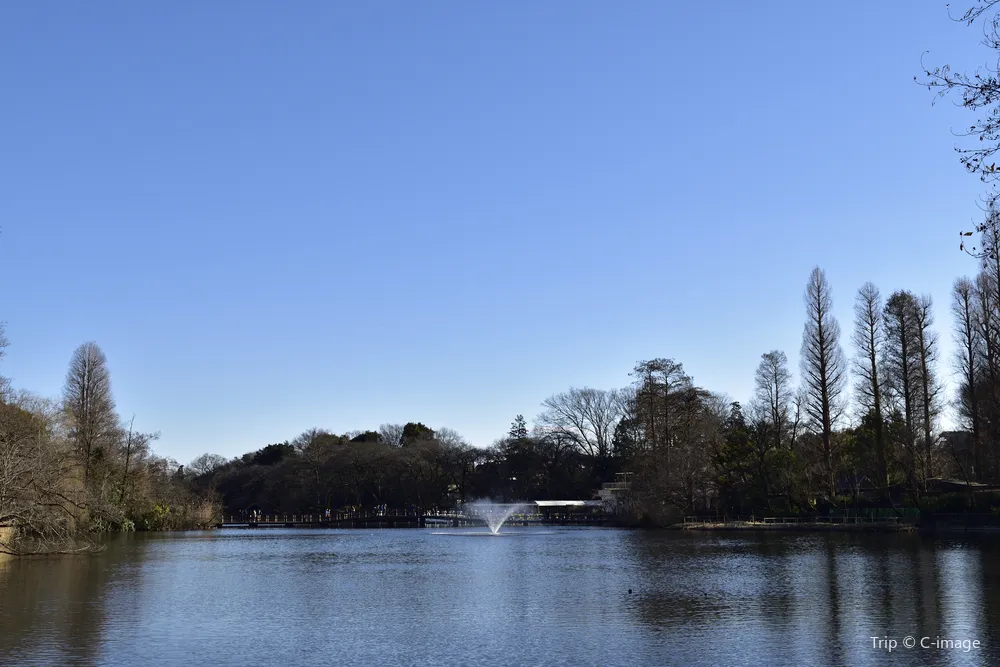 3_井之頭恩賜公園