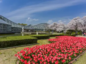 京都府立植物園