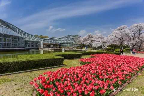 Kyoto Botanical Gardens