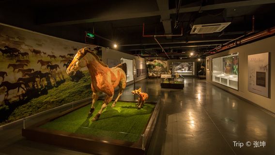 Mystery of Life Museum