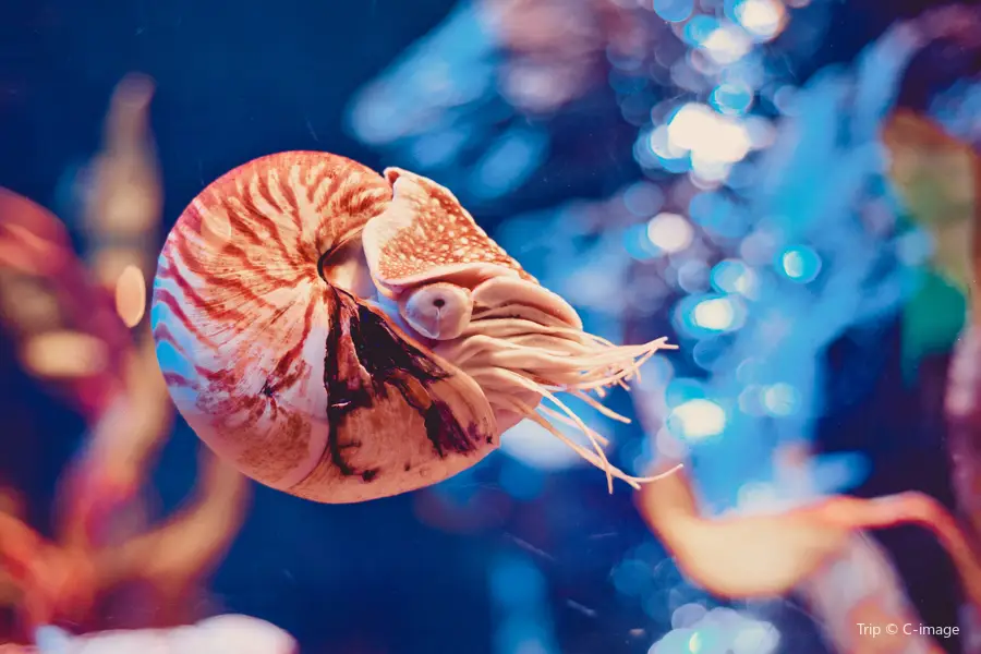 バンコク水族館