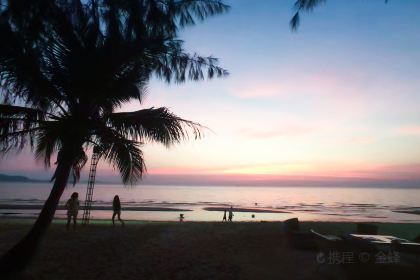 더 글라스 하우스