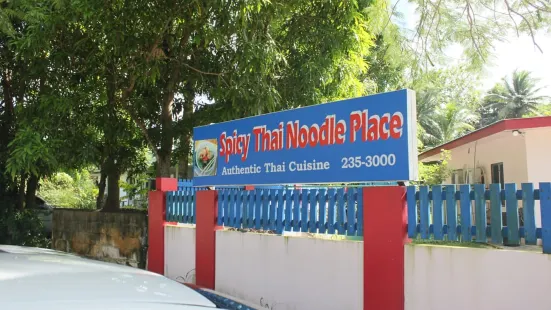 Spicy Thai Noodle Place