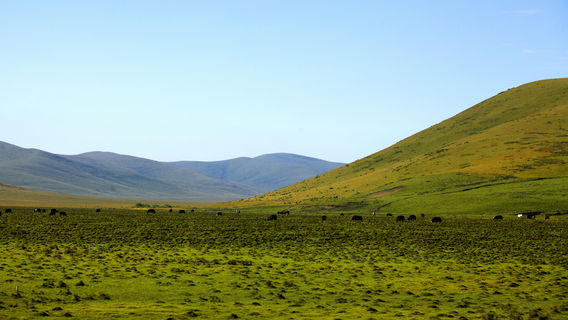 Liandaoba Grassland