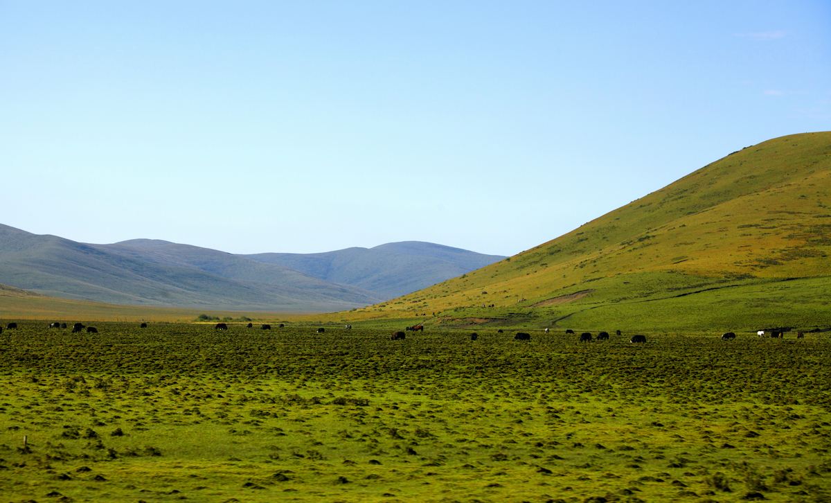 Liandaoba Grassland