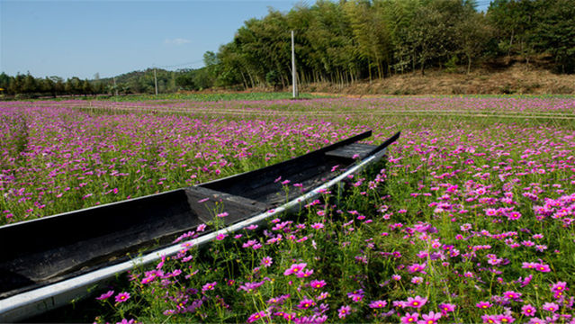 Matouxiang Sceneic Area