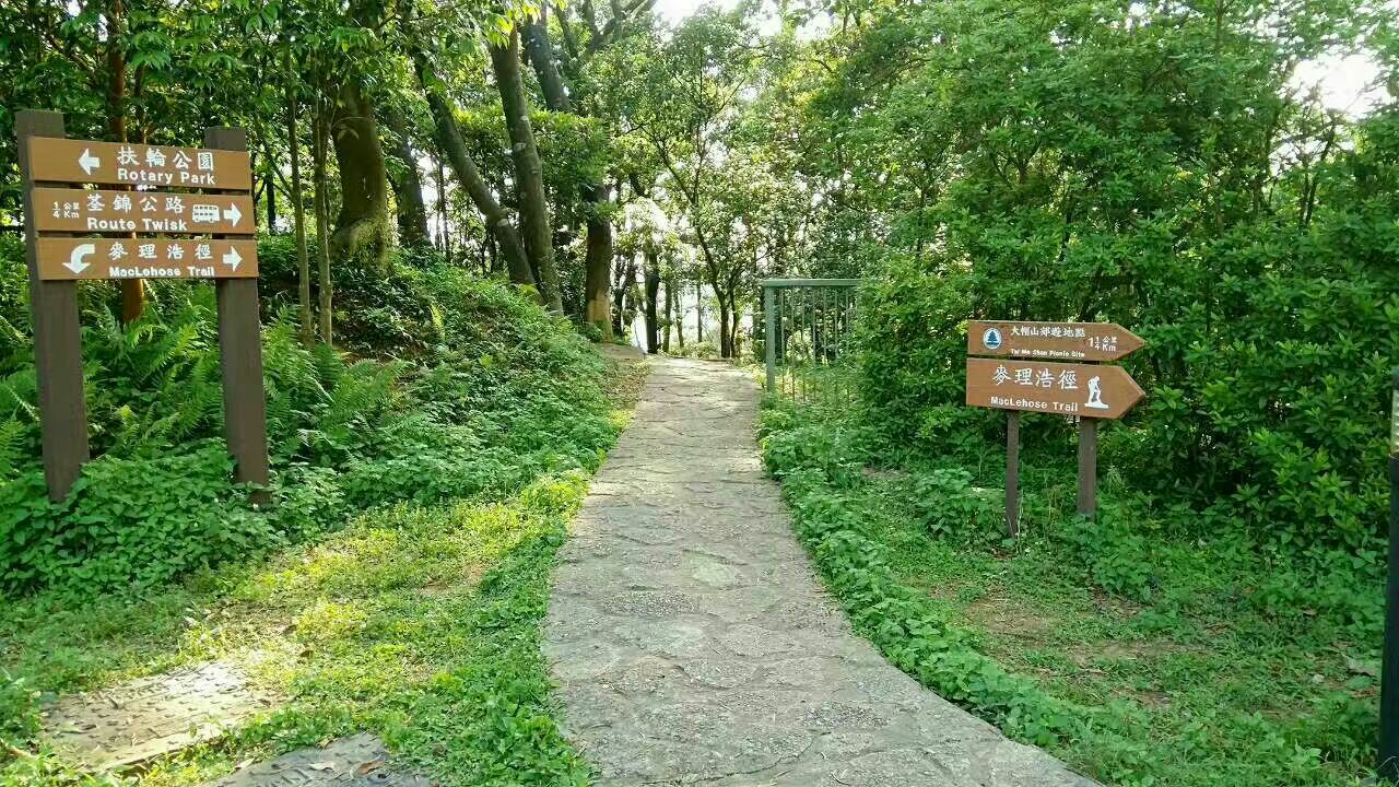 香港八仙嶺郊野公園旅遊評價｜Trip.com 旅遊攻略
