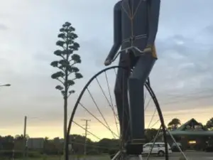 Man On the Bike Pizza