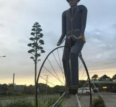 Man On the Bike Pizza