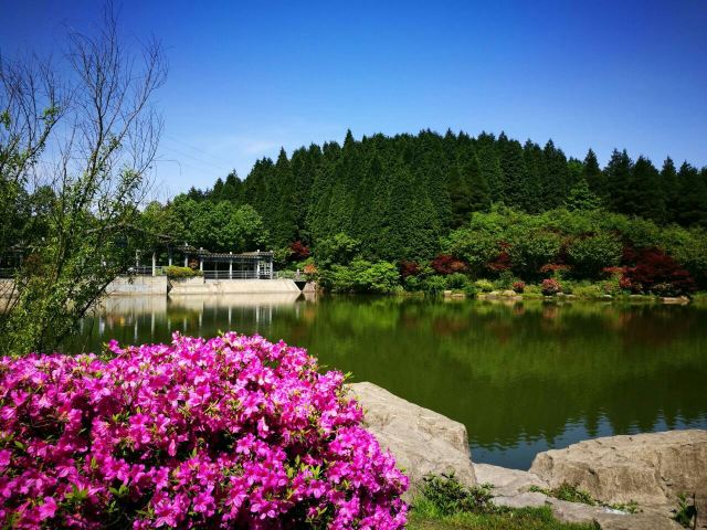Yangtian Lake Scenic Area