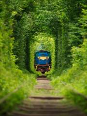 Tunnel of Love