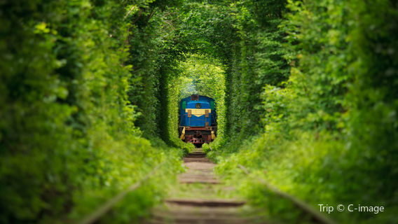 Tunnel of Love