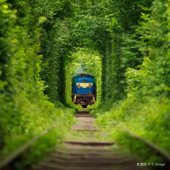 Ровенский район