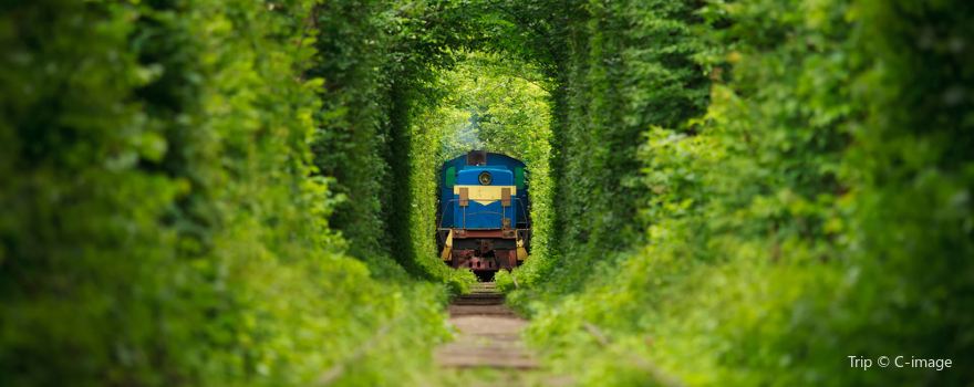 Tunnel of Love