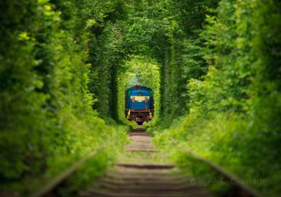 Tunnel of Love